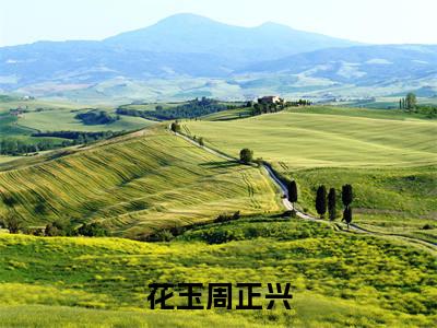 周正兴花玉(花玉周正兴)全文免费阅读大结局_花玉周正兴无弹窗最新章节列表