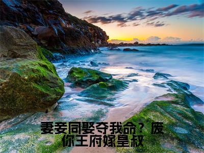 沈天娇龙乘风小说全文免费阅读无弹窗-妻妾同娶夺我命？废你王府嫁皇叔全章节阅读
