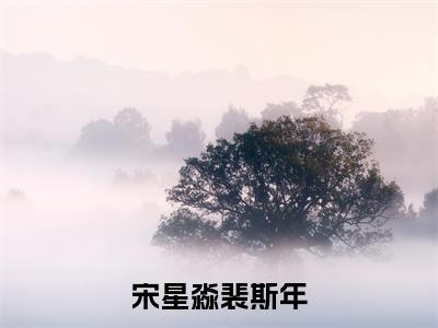 宋星淼裴斯年全集免费阅读无弹窗_裴斯年宋星淼完结小说榜单阅读(裴斯年宋星淼小说)