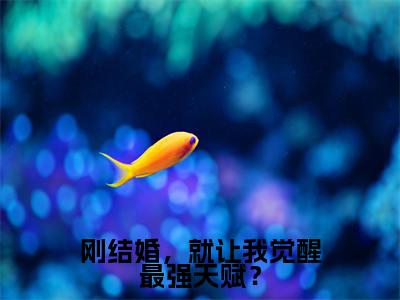 刚结婚，就让我觉醒最强天赋？高赞小说（唐闺瑶秦云）完结阅读_刚结婚，就让我觉醒最强天赋？全文完整版免费阅读最新章节列表唐闺瑶秦云（番外+免费）