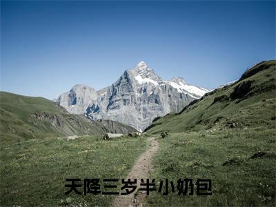 任诺(天降三岁半小奶包)全文免费阅读无弹窗_任诺最新小说_笔趣阁(天降三岁半小奶包)
