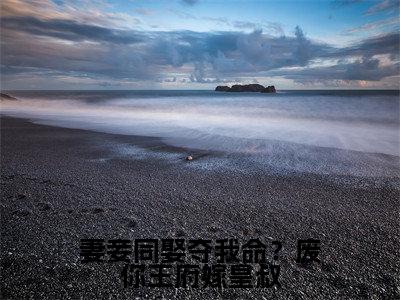 沈天娇龙乘风（妻妾同娶夺我命？废你王府嫁皇叔）小说全文-妻妾同娶夺我命？废你王府嫁皇叔小说免费阅读大结局