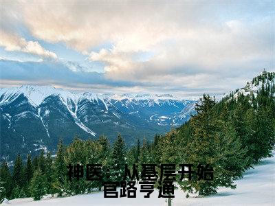 （ 神医：从基层开始官路亨通）全文免费阅读无弹窗大结局-宁远孙雪霏全文阅读无弹窗