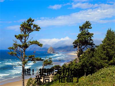 阮南枝傅祁川小说免费(慌!把前夫扔给白月光后,他疯了免费阅读)慌!把前夫扔给白月光后,他疯了全文免费阅读无弹窗大结局_阮南枝傅祁川小说最新章节列表