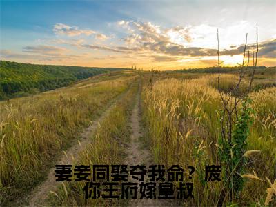 沈天娇龙乘风在哪免费看沈天娇龙乘风结局是什么(妻妾同娶夺我命?废你王府嫁皇叔)小说无弹窗免费阅读