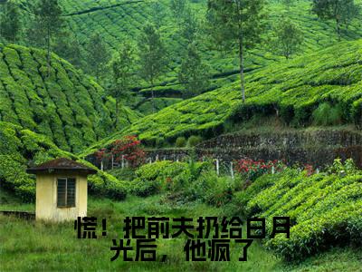 慌！把前夫扔给白月光后，他疯了全文免费阅读大结局傅祁川阮南枝最新章节列表
