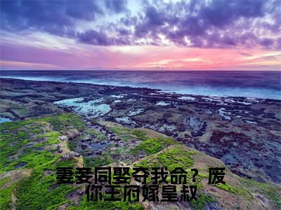 沈天娇龙乘风（妻妾同娶夺我命？废你王府嫁皇叔）在哪免费看-小说（沈天娇龙乘风）妻妾同娶夺我命？废你王府嫁皇叔全文完整版免费阅读