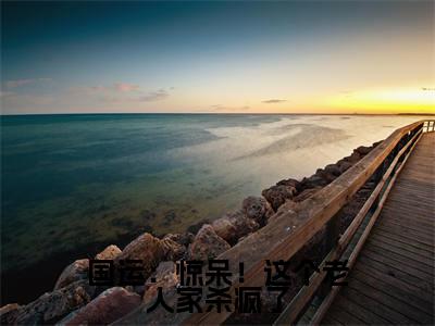 小说国运：惊呆！这个老人家杀疯了免费在线阅读-小说主角叫楚风楚念念的小说完整版免费读全文