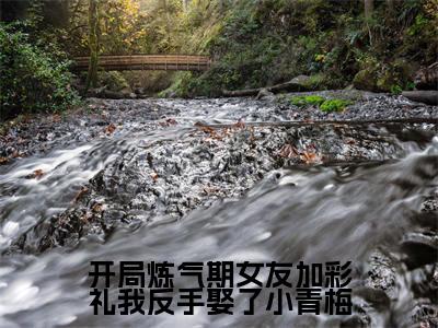 徐明浩精选热门小说开局炼气期女友加彩礼我反手娶了小青梅已完结全集大结局