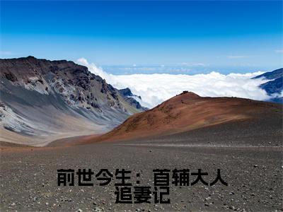 （柳慕杨韩屹）全文免费阅读无弹窗大结局_前世今生：首辅大人追妻记完整版最新阅读_笔趣阁（柳慕杨韩屹）