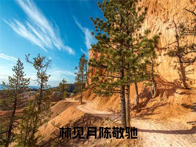主角是陈敬驰林见月的小说叫什么名字林见月陈敬驰小说免费阅读