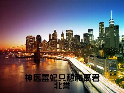 神医毒妃只想和离君北誉全文免费阅读大结局_神医毒妃只想和离君北誉(慕容朱雀君北誉)完整版在线赏析