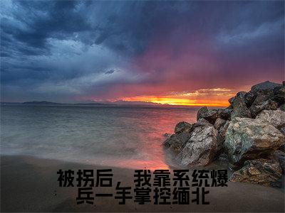 （后续）+（全文）（方远坤泰）被拐后，我靠系统爆兵一手掌控缅北精彩小说-方远坤泰全章节免费阅读