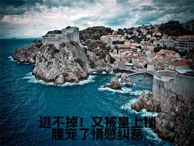 萧珩萧玥(逃不掉!又被皇上锁腰宠了情感纠葛最新全章节大结局)全文阅读