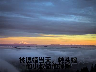 被退婚当天,转头嫁他小叔做他婶婶全文免费阅读无弹窗大结局_(被退婚当天,转头嫁他小叔做他婶婶)傅庭堔盛云云最新章节列表_笔趣阁