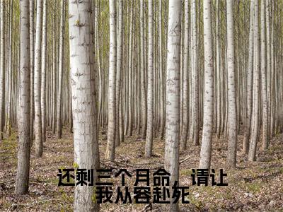 番外+免费小说《还剩三个月命，请让我从容赴死》全文免费阅读无弹窗-庄子昂小说全文在线赏析_笔趣阁