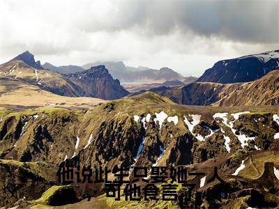 徐晚凝陈靖廷（他说此生只娶她一人，可他食言了小说）全文免费阅读无弹窗大结局_他说此生只娶她一人，可他食言了小说最新章节列表