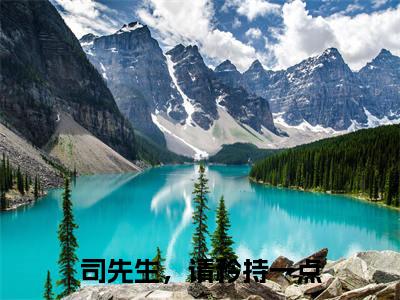 司先生,请矜持一点(司从宴夏初见最新章节)在线阅读-免费小说司先生,请矜持一点全文阅读