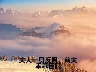 夫人一身反骨,前夫乖乖臣服(沈絮靳晏臣)最新章节在线阅读-沈絮靳晏臣小说夫人一身反骨,前夫乖乖臣服在哪里可以看