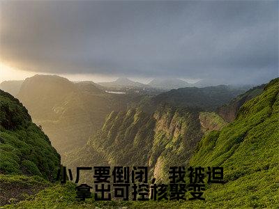 张奇(小厂要倒闭,我被迫拿出可控核聚变)在哪里可以免费看-小厂要倒闭,我被迫拿出可控核聚变(张奇)小说全章节免费阅读