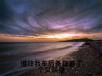 谁往我车后备箱塞了个女明星小说（许默）全文免费阅读无弹窗大结局_（许默）谁往我车后备箱塞了个女明星小说无弹窗精彩阅读_笔趣阁