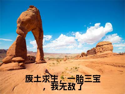 废土求生，一胎三宝，我无敌了麦芒小说-废土求生，一胎三宝，我无敌了小说免费阅读