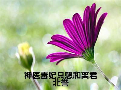 慕容朱雀君北誉神医毒妃只想和离君北誉小说在哪里可以看神医毒妃只想和离君北誉免费在线阅读