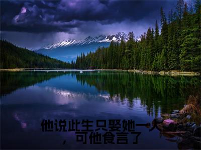 他说此生只娶她一人,可他食言了全文免费无弹窗大结局_徐晚凝陈靖廷免费他说此生只娶她一人,可他食言了最新章节列表_笔趣阁