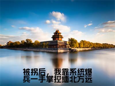 被拐后,我靠系统爆兵一手掌控缅北方远(方远坤泰全章节完整版)免费阅读-被拐后,我靠系统爆兵一手掌控缅北方远全文无删减阅读