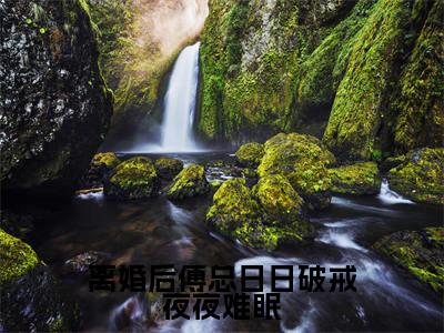 离婚后傅总日日破戒夜夜难眠(叶聆之傅明司)完整版小说阅读_离婚后傅总日日破戒夜夜难眠全文免费阅读最新章节列表_笔趣阁
