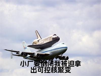 小厂要倒闭我被迫拿出可控核聚变小说热门章节免费阅读_小厂要倒闭我被迫拿出可控核聚变最新章节列表_笔趣阁