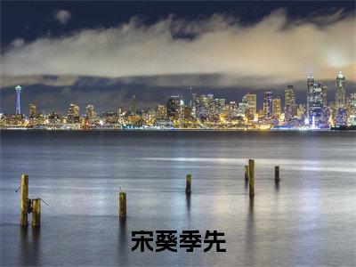 宋葵季先(宋葵季先)全文免费阅读无弹窗_宋葵季先最新小说_笔趣阁