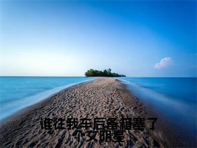 谁往我车后备箱塞了个女明星小说主角是（许默）全文完整版免费阅读最新章节列表_许默小说在线阅读