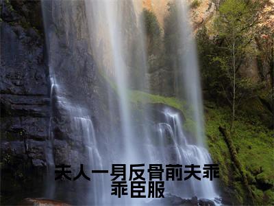 沈絮靳晏臣(夫人一身反骨前夫乖乖臣服)完整版小说阅读_夫人一身反骨前夫乖乖臣服全文免费阅读笔趣阁(沈絮靳晏臣)