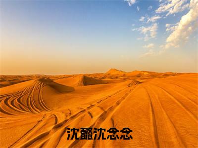 沈懿沈念念最新章节(沈懿沈念念小说)全文免费阅读无弹窗大结局_沈懿沈念念小说免费阅读(沈懿沈念念)