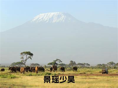 景瑶少昊（景瑶少昊）小说精彩免费内容_景瑶少昊（景瑶少昊）最新章节全文阅读大结局