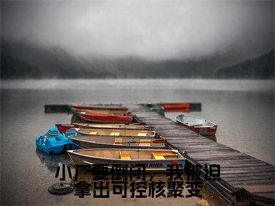小厂要倒闭,我被迫拿出可控核聚变全文(张奇小说)全文免费阅读无弹窗大结局_小厂要倒闭,我被迫拿出可控核聚变免费最新章节列表_笔趣阁(张奇小说)