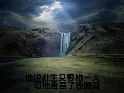 他说此生只娶她一人,可他食言了徐晚凝(徐晚凝陈靖廷)小说全文免费读无弹窗大结局_他说此生只娶她一人,可他食言了徐晚凝小说章节试读最新章节列表笔趣阁
