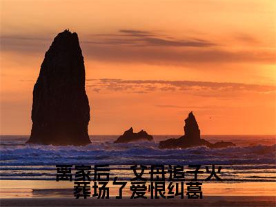 离家后,父母追子火葬场了爱恨纠葛免费阅读(许默谢冰艳)完整版全文全章节阅读