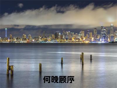 何晚顾序全文免费阅读大结局_何晚顾序已完结全集何晚顾序大结局小说