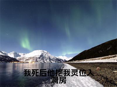 我死后他抱我灵位入洞房小说(苏媛江北辰)免费阅读全文无弹窗大结局_苏媛江北辰免费阅读无弹窗小说_小说笔趣阁