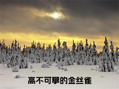 沈年王翠花(高不可攀的金丝雀)全文阅读完整版_高不可攀的金丝雀小说免费阅读大结局(沈年王翠花)
