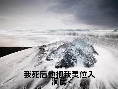 我死后他抱我灵位入洞房苏媛江北辰全文小说-我死后他抱我灵位入洞房小说最新章节免费阅读