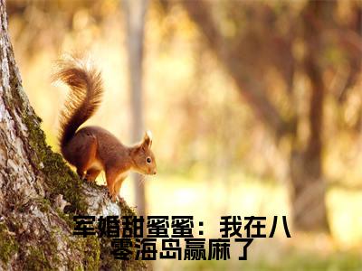 叶婉婉陆尧(军婚甜蜜蜜:我在八零海岛赢麻了)全文阅读完整版_军婚甜蜜蜜:我在八零海岛赢麻了小说免费阅读大结局(叶婉婉陆尧)