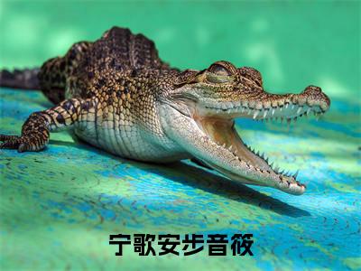 宁歌安步音筱(步音筱宁歌安)小说在线阅读_宁歌安步音筱全本免费小说阅读(步音筱宁歌安)