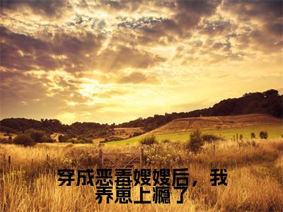 景栩沈妤欢(穿成恶毒嫂嫂后,我养崽上瘾了)最火言情小说免费观看-小说穿成恶毒嫂嫂后,我养崽上瘾了(景栩沈妤欢)今日已更新最新章节