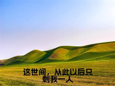 这世间,从此以后只剩我一人精彩章节在线阅读_沈知星段渠免费观看(这世间,从此以后只剩我一人)完结版_笔趣阁(沈知星段渠)