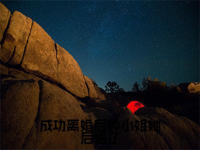 成功离婚后钟小姐她后悔了免费小说钟楚瑶林禹洲全文完整版阅读