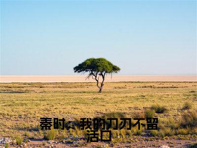 主角是雪女的小说叫什么名字秦时:我的刀刃不留活口精彩结局阅读