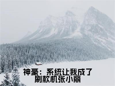 神豪:系统让我成了刷款机张小丽(张小丽苏清风)小说免费无弹窗大结局-神豪:系统让我成了刷款机张小丽小说全文完整版阅读